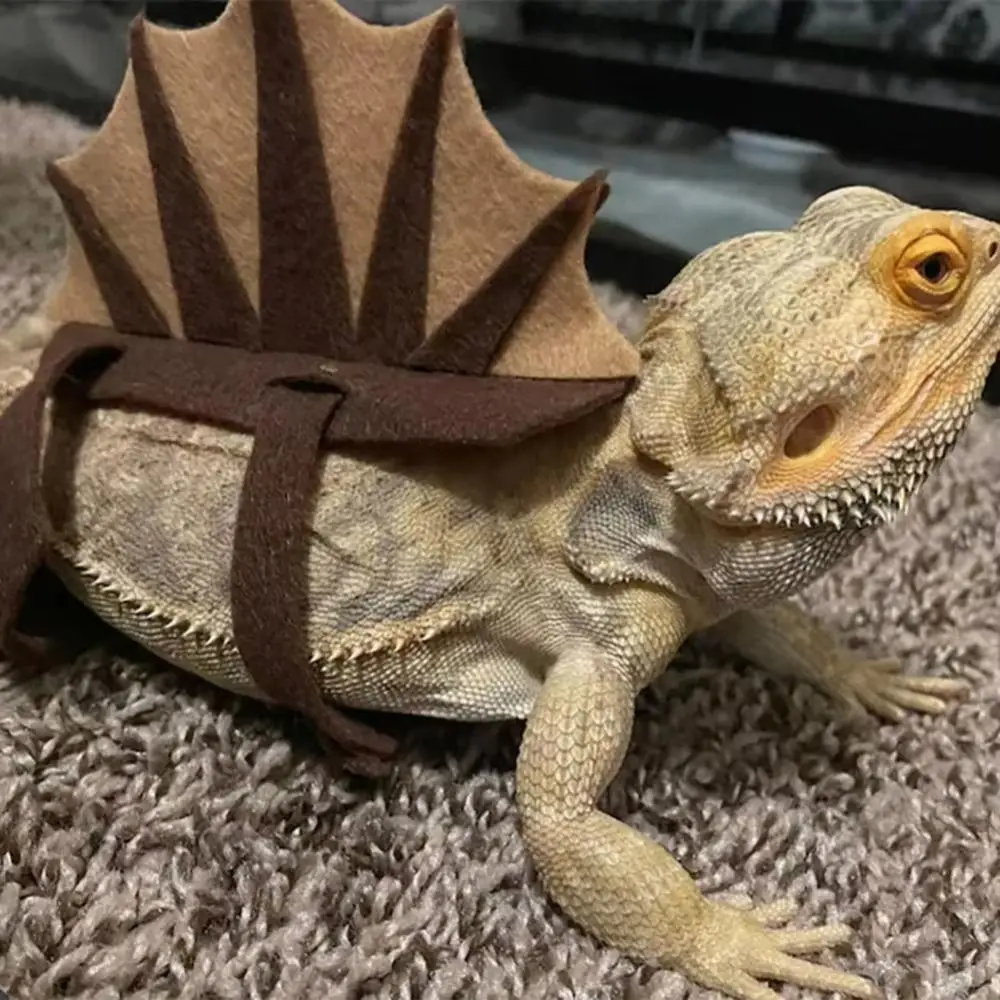 Stegosauro Lucertola Costume Giocattolo Spina Drago Forma di Dinosauro Regolabile Lucertola Panno Divertente 3 Cinghie Creativo Rettile Abbigliamento