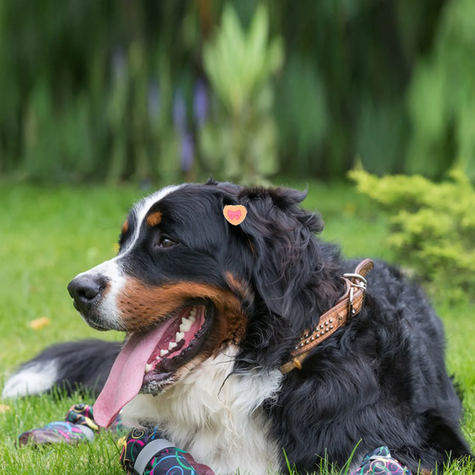 

10 Pcs Puppy Cat Hair Ties Cute Cartoon Ponytail Holders Animal Bands Accessories