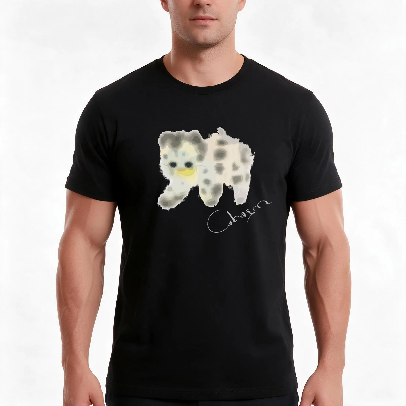 Clairo Merch Charm Cat T-Shirt Summer Casual Cotton Tee Oversized Streetwear Tops Vintage Graphic Print Unisex Men Women