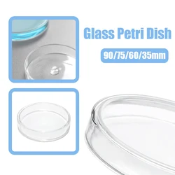 90/75/60/35Mm Petri Bacteriële Kweekschotel Borosilicaat Glazen Schotel Laboratoriumbenodigdheden Feeder Lade Ronde Container