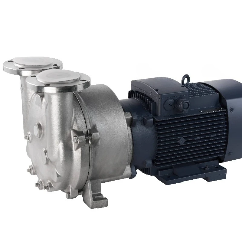 

Vacuum Pump 110 M3/h 50Hz 2BV2071 Monomer 5HP Bombard Vasio