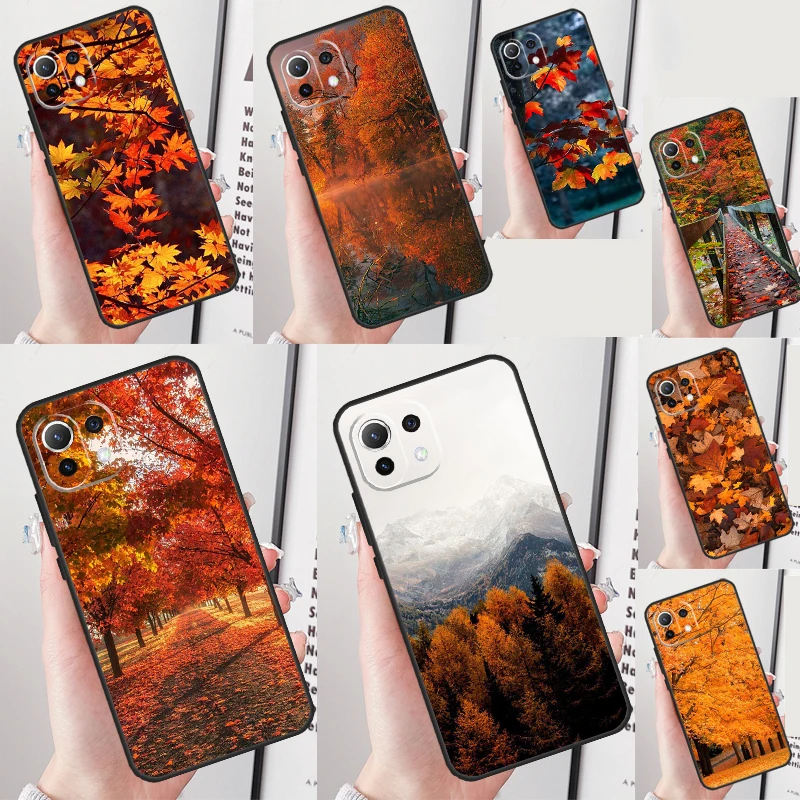 Autumn Leaves Cover…