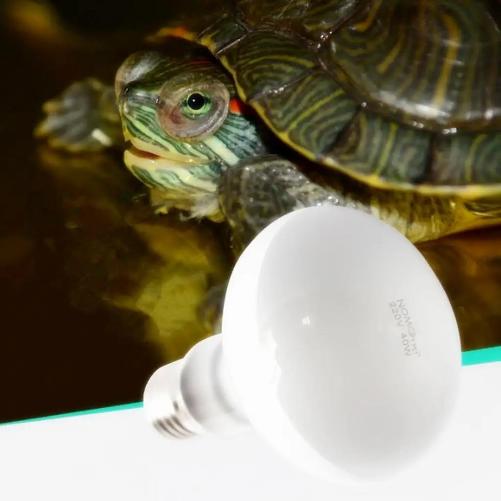 Reptile Terrarium Lighting 60W Daylight Spot Bulb E27 Heat Lamp for Gecko Enclosure Ambient Warmth