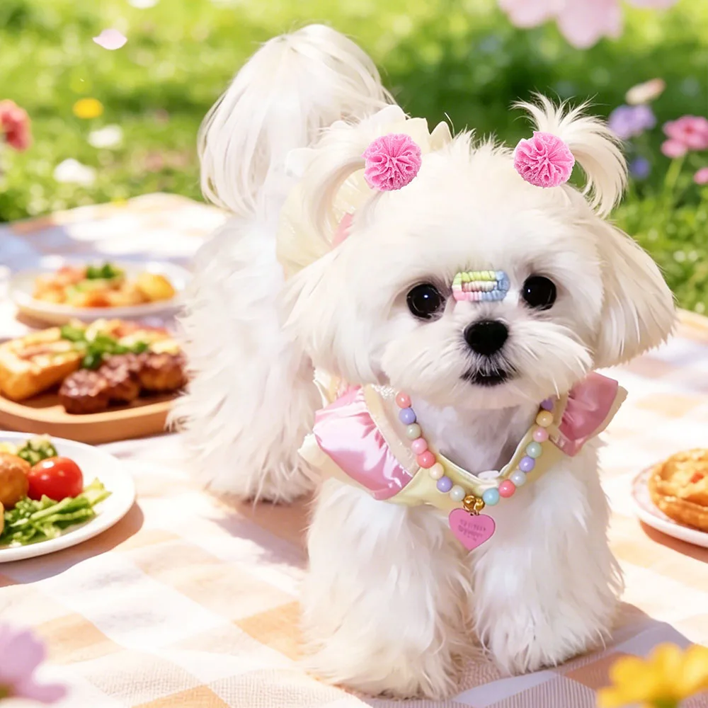 30/50 Stück Spitzen-Hundeschleifen, weiche, kugelförmige Welpenhaarschleifen, gemischte Farben, niedliche Welpenschleifen, kleine Haarschleifen für Hunde – Detail 4
