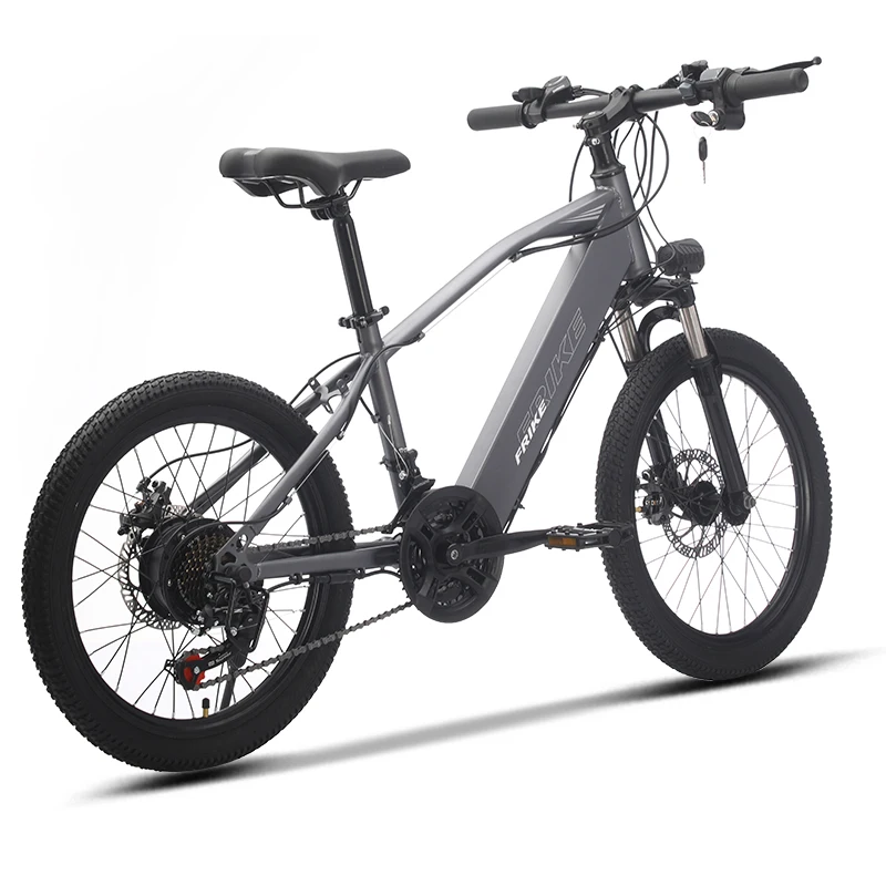 Factory Direct Sales FRIKE Electric Mountain Bike Kids Hot Sale Electric Mountain Bike for Kids Riding Light Mountain E-bike