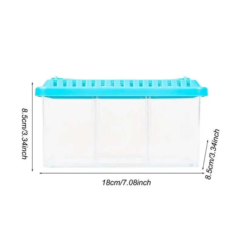 Betta Aquarium Transparent Fish tank with Removable Dividers Small Fish Bowl Multi Compartment Layout decorative Aquarium