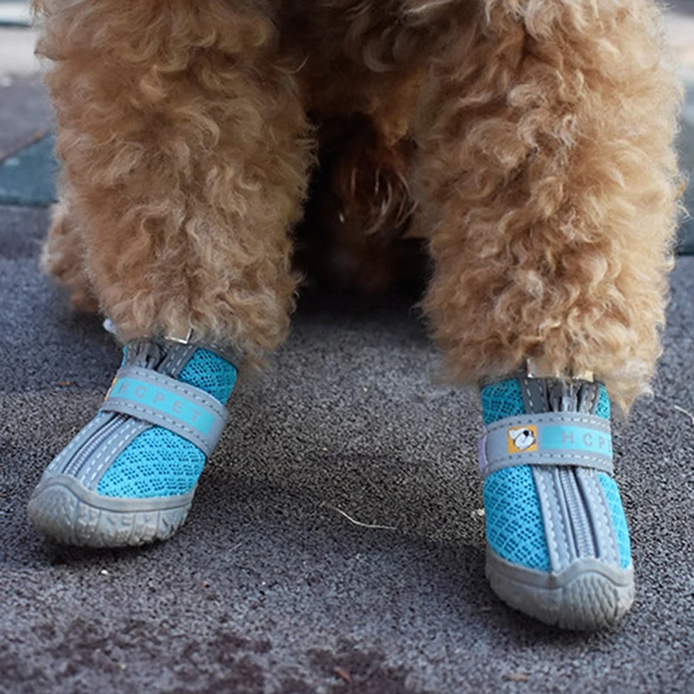 Thumbnail 3 - #65 Best Dog Boots to Buy In 2026