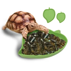 Amphibian and reptile feeder plastic glass container feeding basin tortoise lizard reptile bowl basin water turtle water fountai