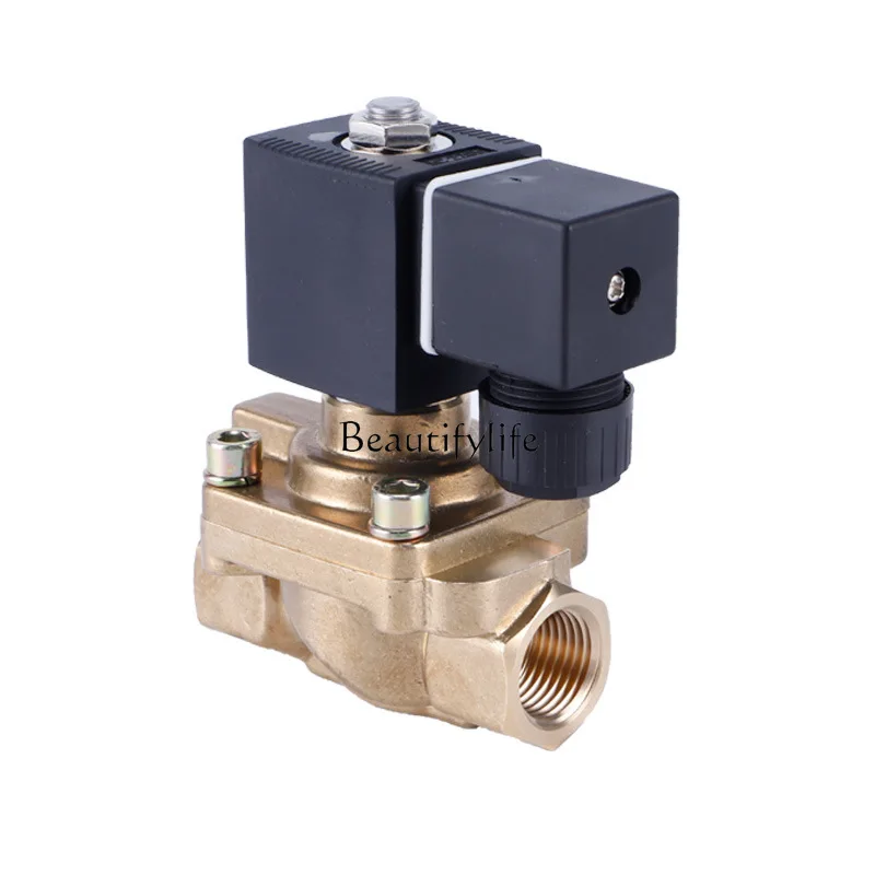 

Two-position two-way high-pressure solenoid valve for blow molding machine