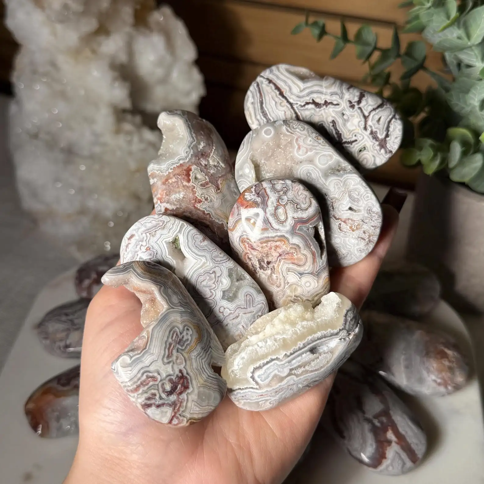 1pc Mexican Lace Agate Crystal Palm Stone Pick Your Own Druzy Mexican Crazy Lace Agate Palm Stone Crystal