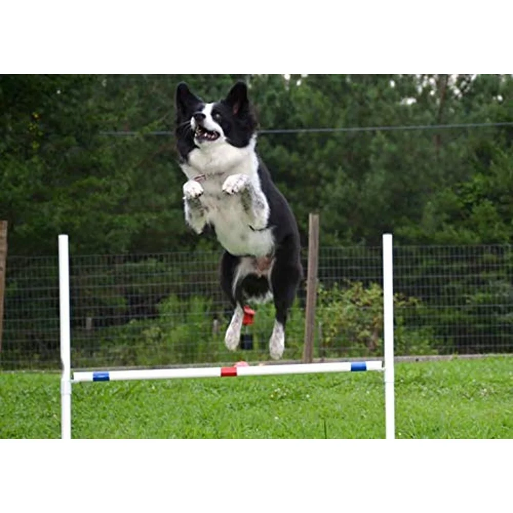 Dog Agility Training Equipment Course Set Weave Poles Dog Agility Jump with Dog Agility Jump Cups and Tire Jump