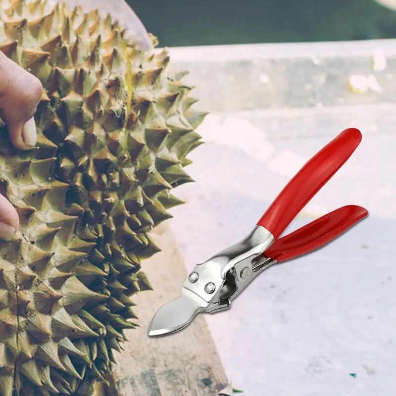 Durian Opener Stainless Steel Durian Peel Breaking Tool Automatic Rebound Non-slip Handle Portable Durian Separator Clamp Nut