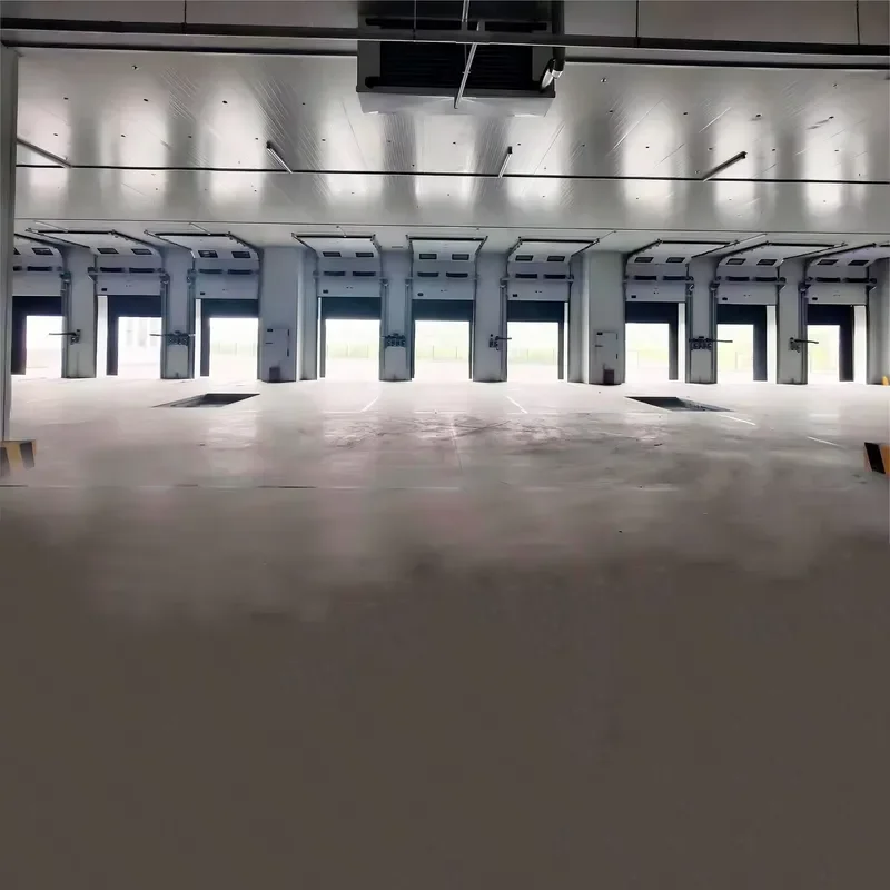 Customized Modern Industrial Safety Lifting High Efficiency for Various Cold Storage Environments Steel Construction