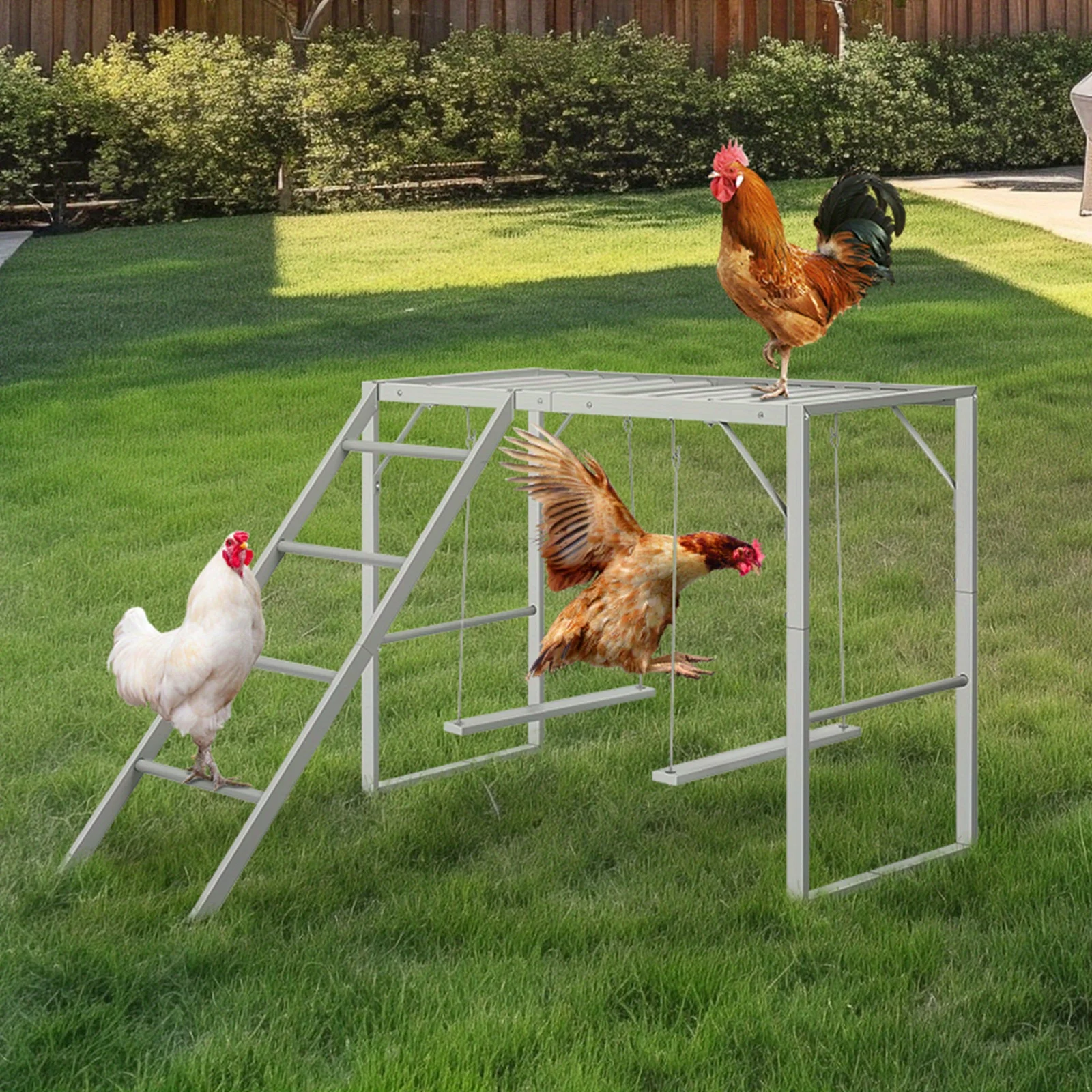 

Chicken Activity Play with Swing Set for 3-4 Birds, Wooden Chicken Coop Accessory with Multiple Chicken Perches & Hen Ladder