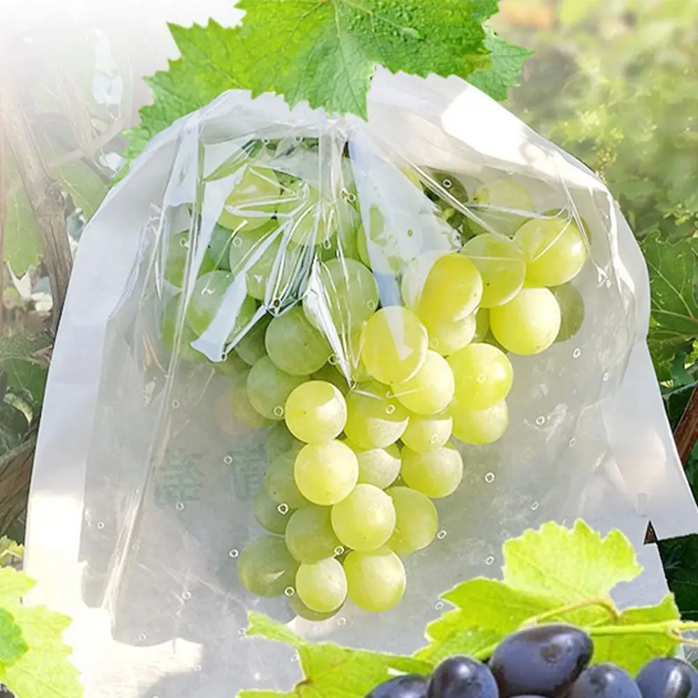 100pcs Semi Transparent Grape Protection Bags Waterproof Breathable Fruit Vegetable Paper Bag Anti-Bird Grape Protection Cover