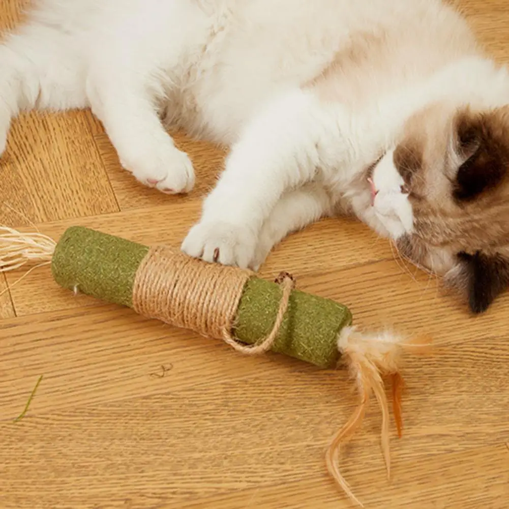 Cat Dental Hygiene Chew Toy Cat Chew Toy for Oral Care Cat Teething Toy Set with Silvervine Sticks Catnip for Indoor for Breeds image 4