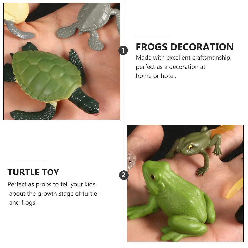

2 Sets Frogs Toy Decoration Animal Growth Stage Model Turtle Evolution Kids Toys
