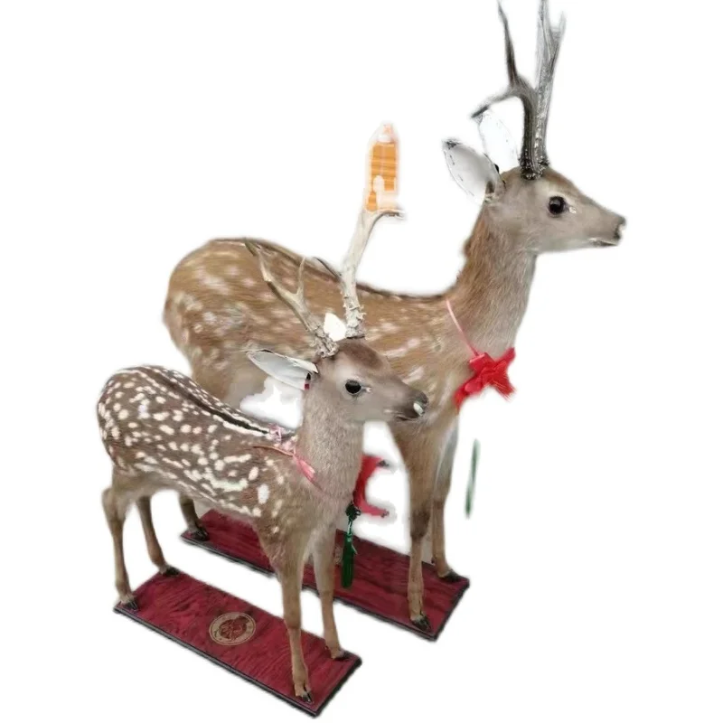 Sika deer specimen floor model elk ornament