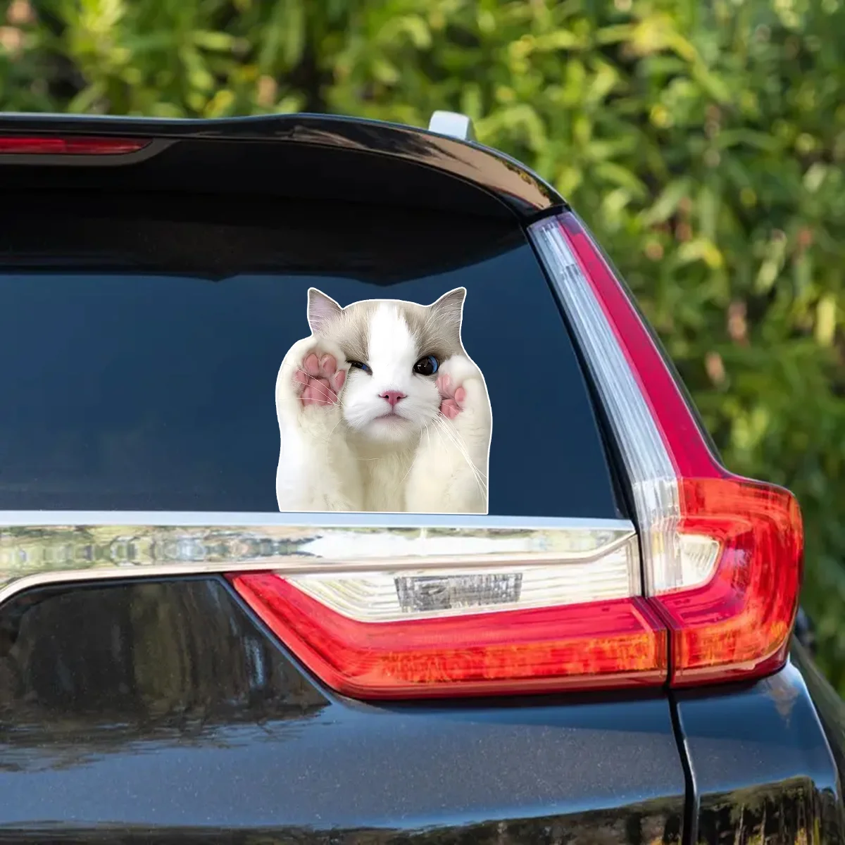 1pc-18.8x18cm Use our cute, funny and humorous cat stickers to make your car stand out - suitable for all vehicles  J-411