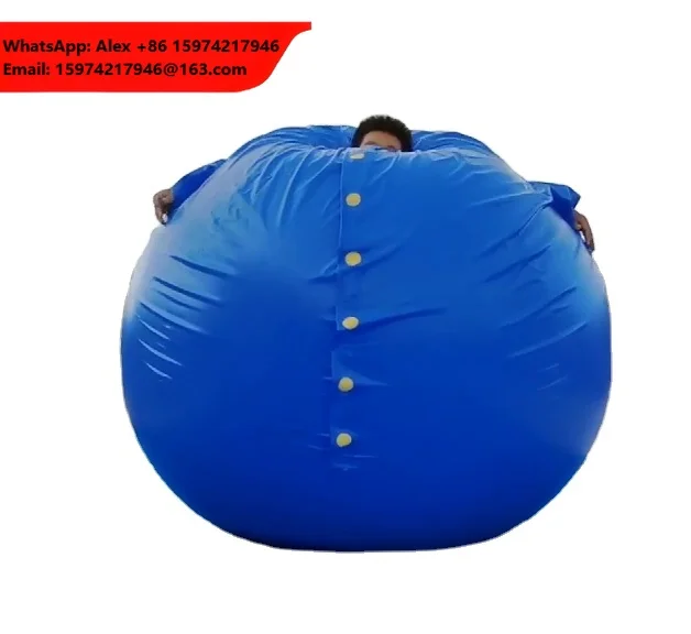 BeiLe Customize Quality Adult PVC Inflatable Blueberry Suit For Role Play