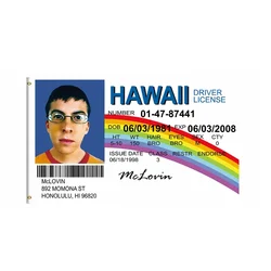 Mclovin Novelty Flag Pop Culture Movie Memorabilia 3x5ft 2x3ft Premium Polyester College Dorm Indoor Outdoor Banner