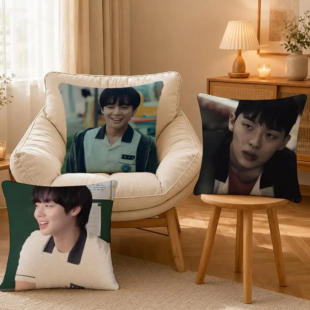 Series Weak Hero Class One Cushion Cover Personalized Short Plush Cushion Cover Sofa Pillowcase Bedroom Home Decor Gift