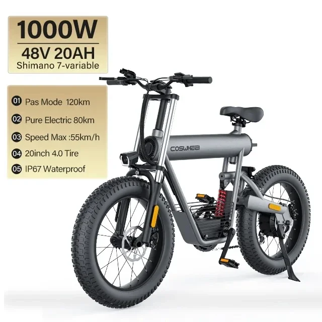 Electric bike Coswheel T20 1000W motor 48V20AH Detachable battery adult Electric Bicycle Mountain Off-road 55km/h Speed E-bike