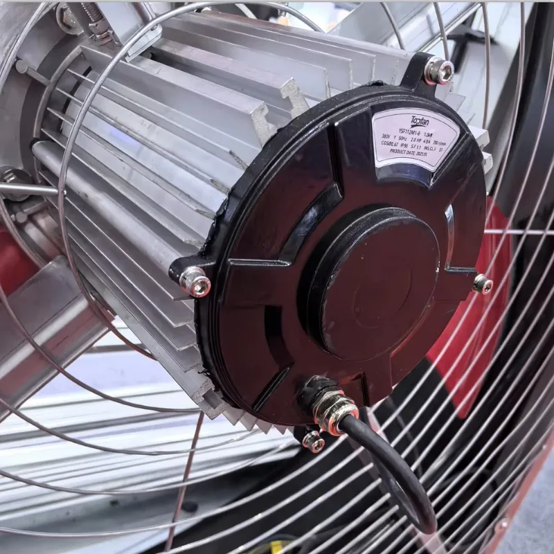 Motor direct drive push-pull negative pressure ventilation fan for animal husbandry