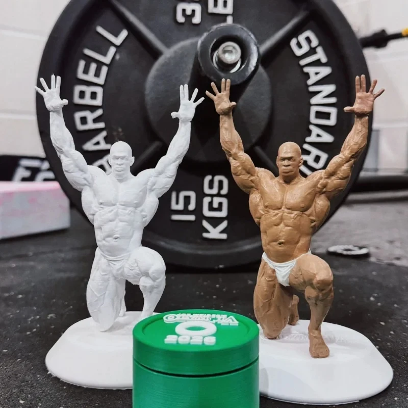 

Roniekumerson realistic figurine set - fitness series decoration item - collection for muscle man enthusiasts