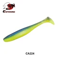 CA224