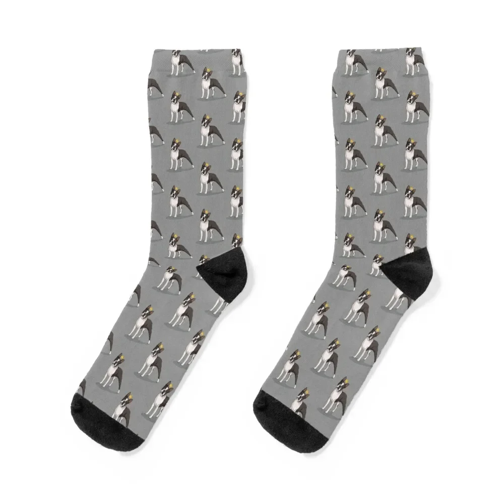 

Boston Terrier with crown Socks Soccer cycling Socks For Women Men's