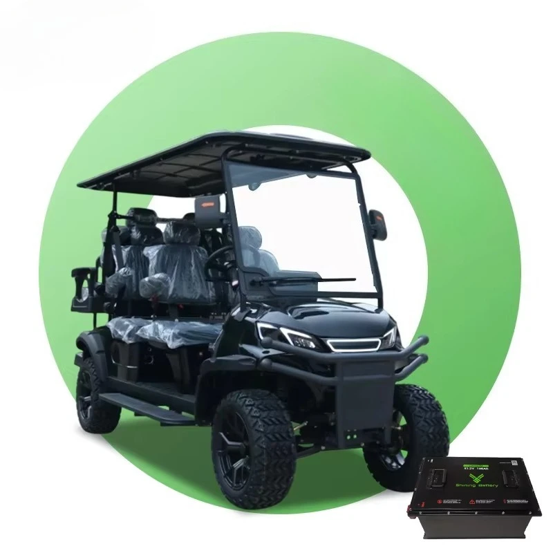 Shininglsv OEM Modern Design Qingdao Shining Vehicle Road Legal Buggy Purple 6 Person Sightseeing Golf Cart