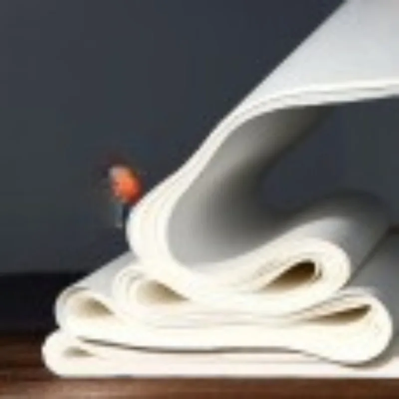 

Calligraphy and painting paper, rice paper, special brush for Shengxuan calligraphy and Chinese painting