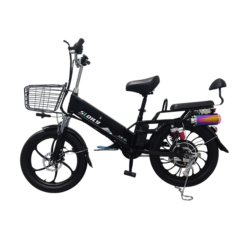 OEM 20 Inch Household Electric Bike Excursion E-bike 500W 48V Lithium Battery Electric Bicycle Bluetooth Speaker Ebike