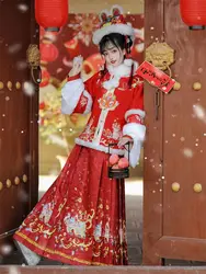 Ming Made Dragon Year New Year Costume Chinese Hanfu Women's New Winter Horse Face Skirt Set Chinese Immortal Ancient Clothes