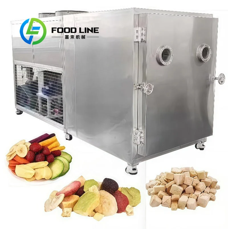 Food Freeze Drying Machine Gentle Low-Temperature Processing Protects Active Nutrients Of Probiotic Powder And Freeze Yogurt