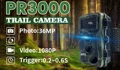 PR3000
