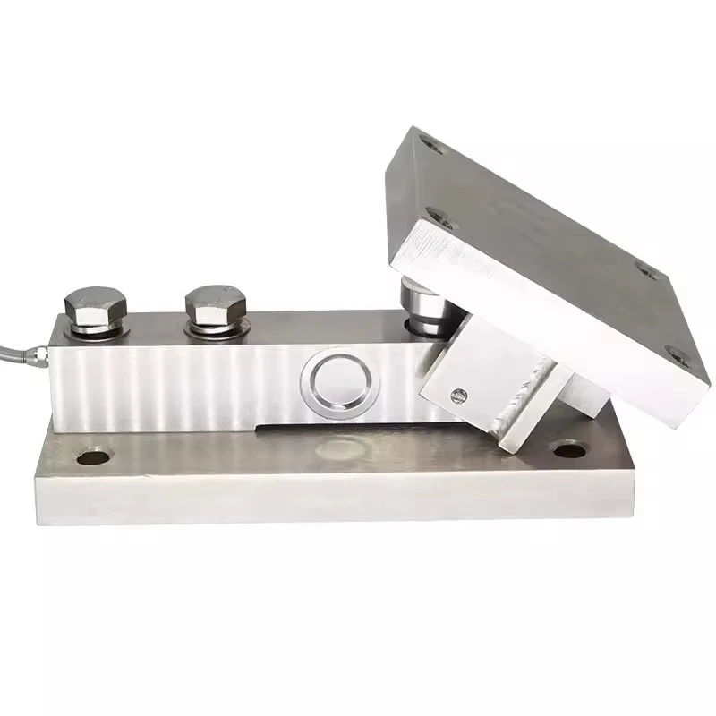 Cantilever beam weighing module  DYCW Track scale Stirring sensor
