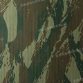 Lizard Camo