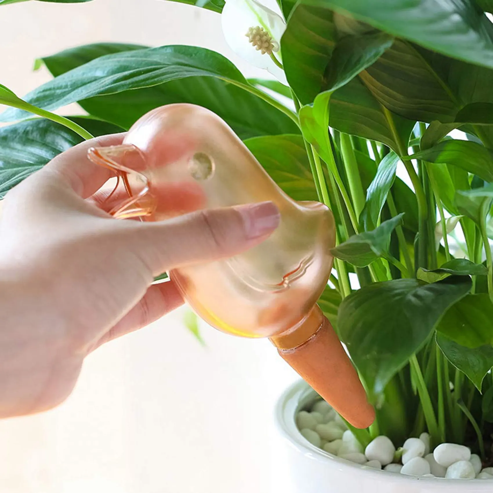 

A19F-8 Pcs Bird Shape Clear Plant Waterer Clear Self Watering Devices Globes