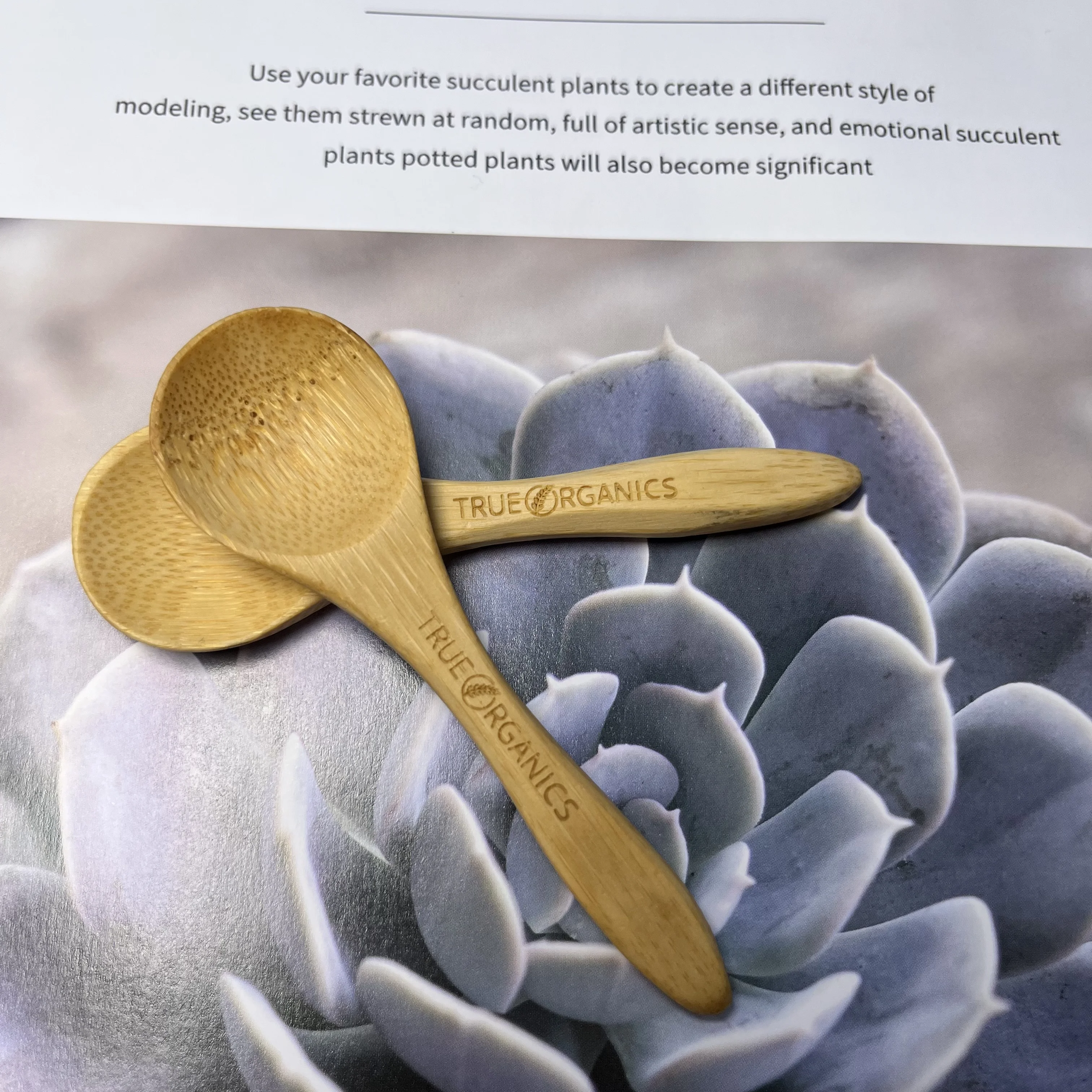 50PCS bamboo spatulas/spoon for 50ml 100ml Biodegradable Wooden Cream Bottles Natural Luxury Bamboo Cosmetic Packaging