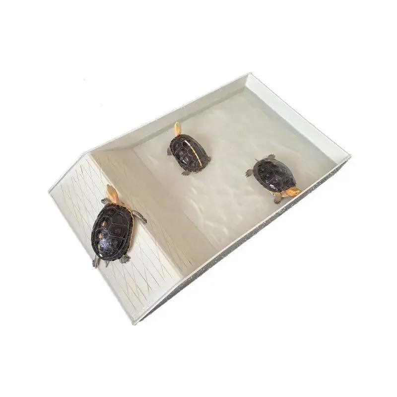Turtle tortoise drinking basin, bath basin, feeding basin, large yellow edge lizard climbing pet food plate, feeding water plate