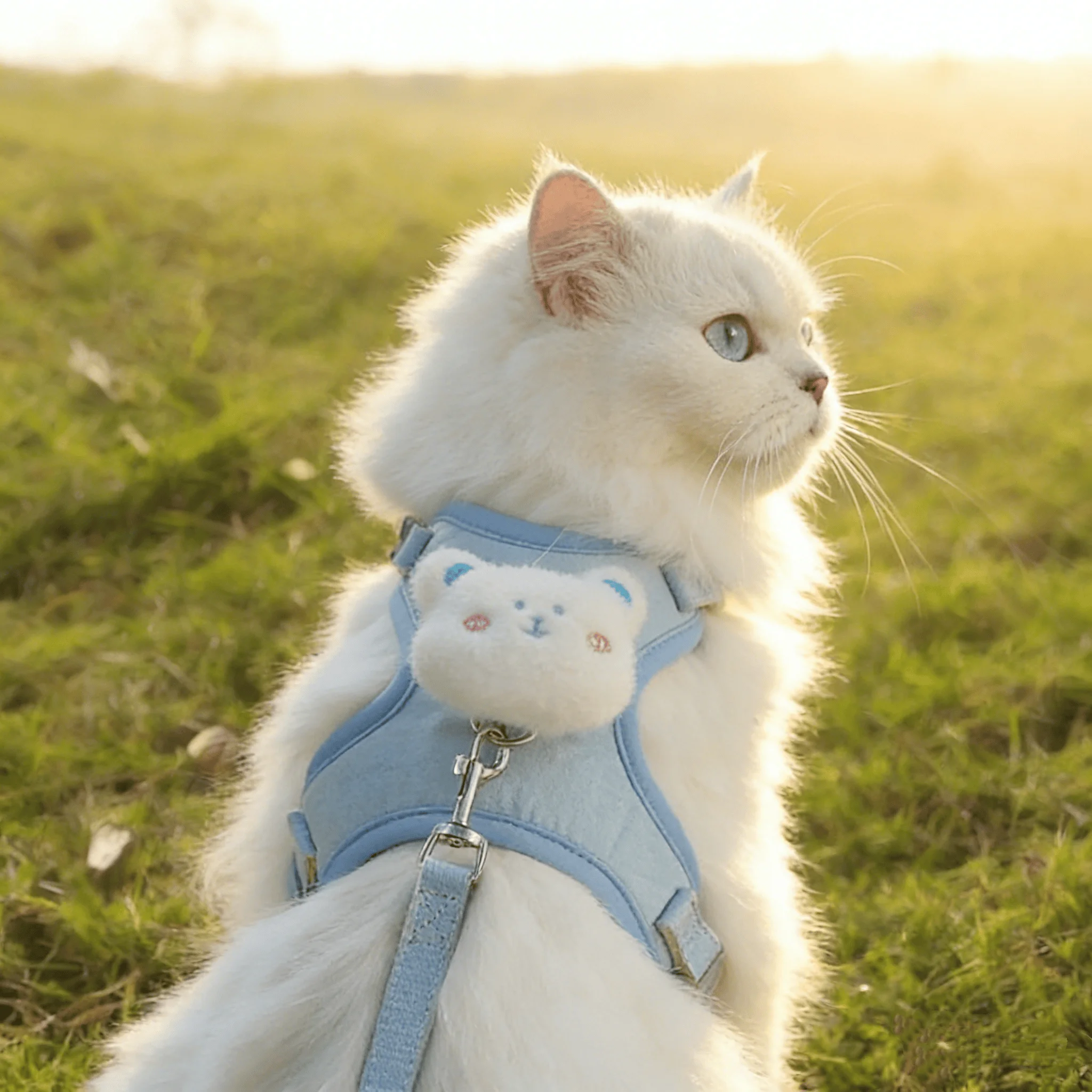 Sommer Niedlichen Tier Harness Leine Set Atmungsaktive Anti-Verloren Hund Brustgurte Cartoon Einstellbare Haustier Gehen Geschirre Blei Haustier – Detail 5