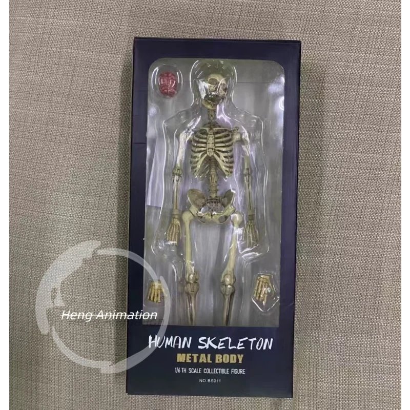 In Stock Genuine COOMODEL BS011 1/6 HUMAN SKELETON METAL BODY