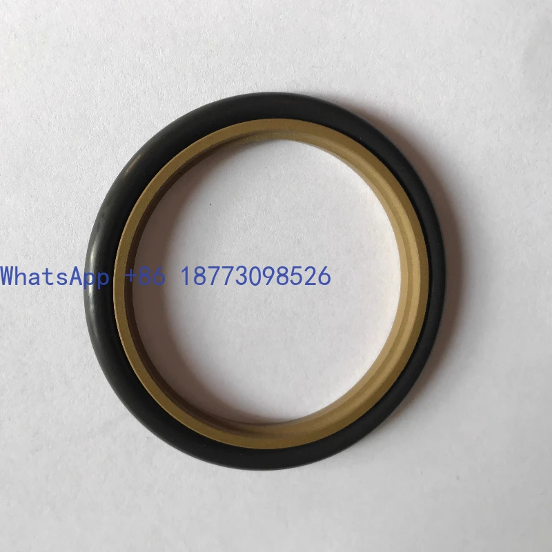 

Trelleborg imported seal RSK100250-T46N