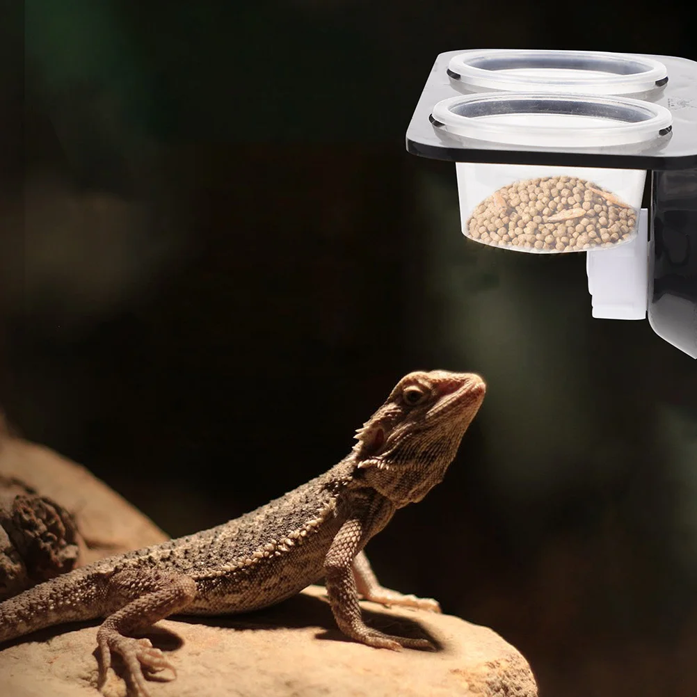2 مجموعة مغذيات الزواحف 2 مجموعات السحلية الغذاء الحاويات الزحف تغذية الحيوانات الأليفة أداة وعاء الماء ل أبو بريص السلاحف العنكبوت الزواحف