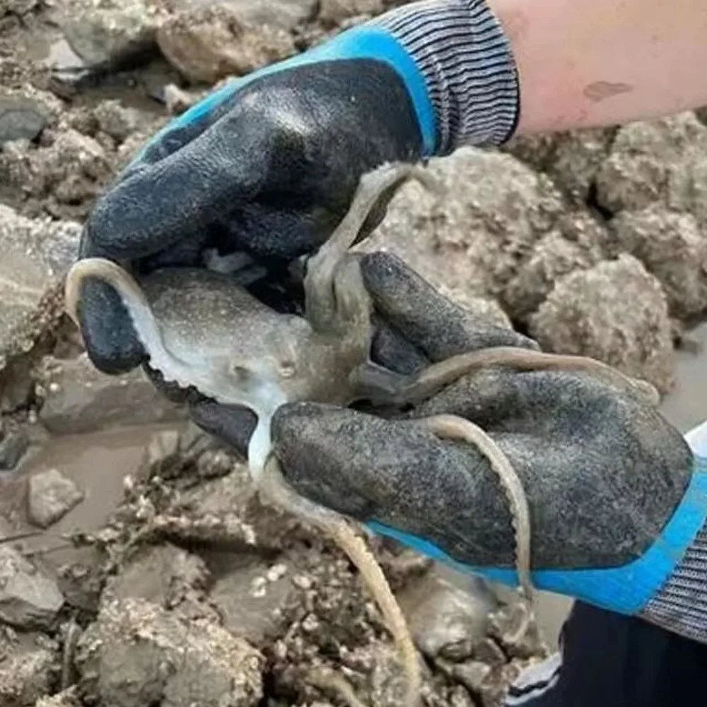 Durable Waterproof Anti-Prick Gloves Wear-Resistant Elastic Safety Work Gloves Anti-Slip Reusable Gardening Gloves Rose Planting
