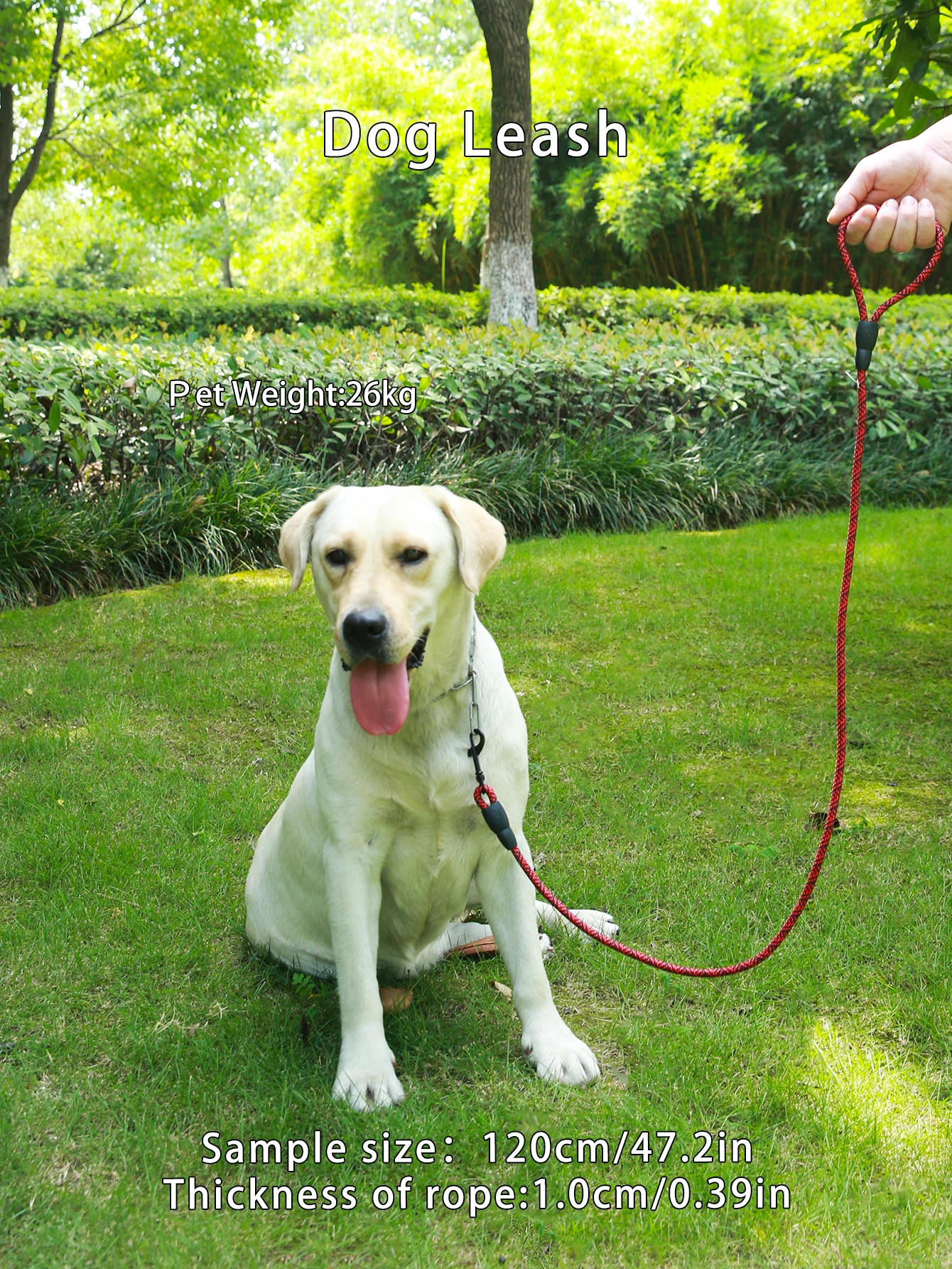 1pc Red Pet leash, outdoor leash, to prevent the loss of dogs,Leash for cats and dogs