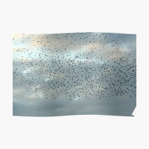 Murmuration Starlings Flock Of Birds  Poster Print Vintage Home Decor Picture Wall Art Decoration Room Painting Modern No Frame