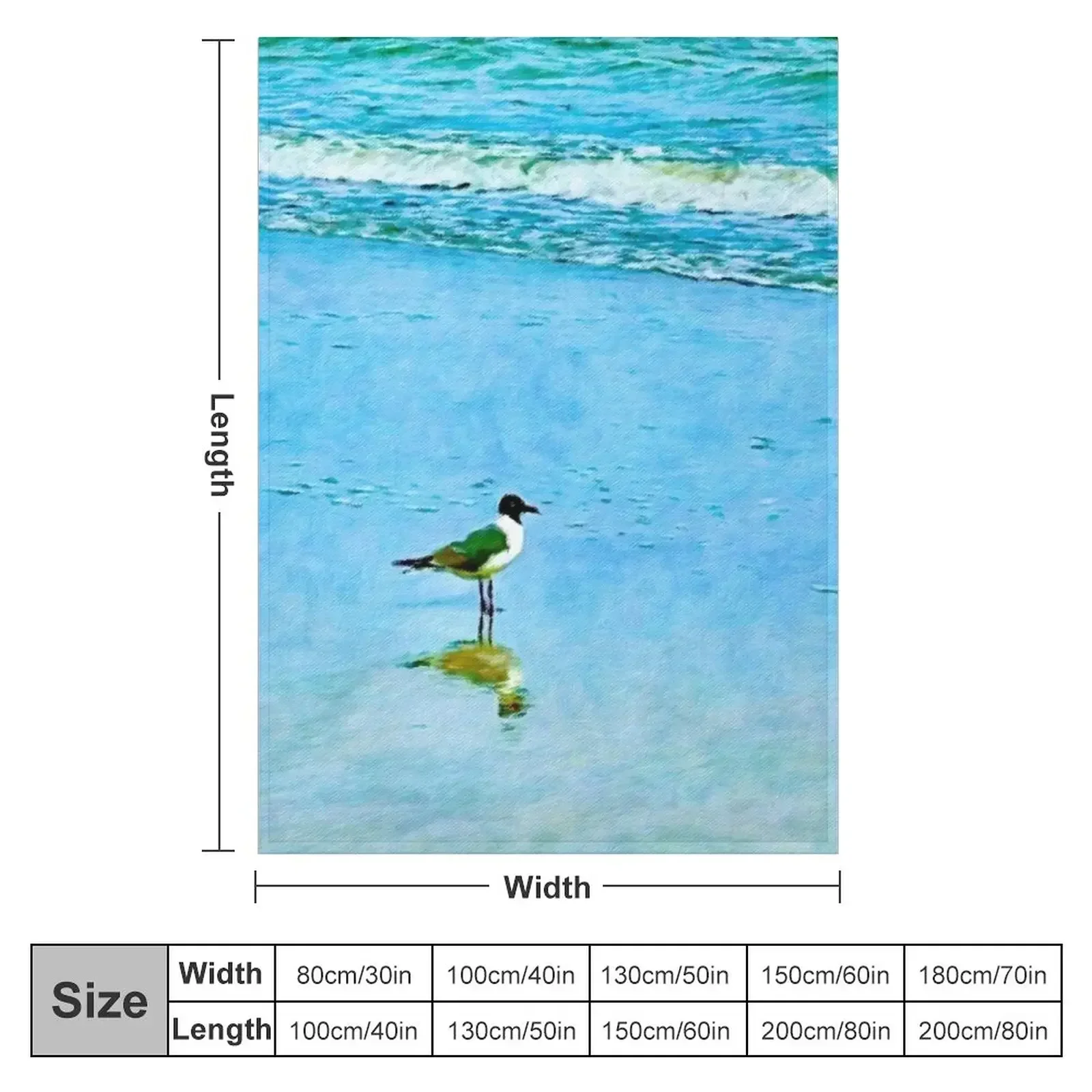 A Special Gull on the Shore Throw Blanket Thins for babies Hairy Sofas Hairys Furrys Blankets
